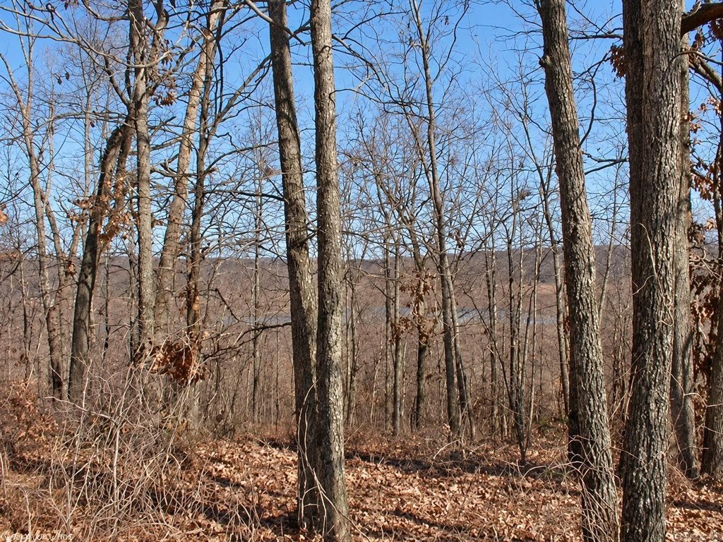Picture 3