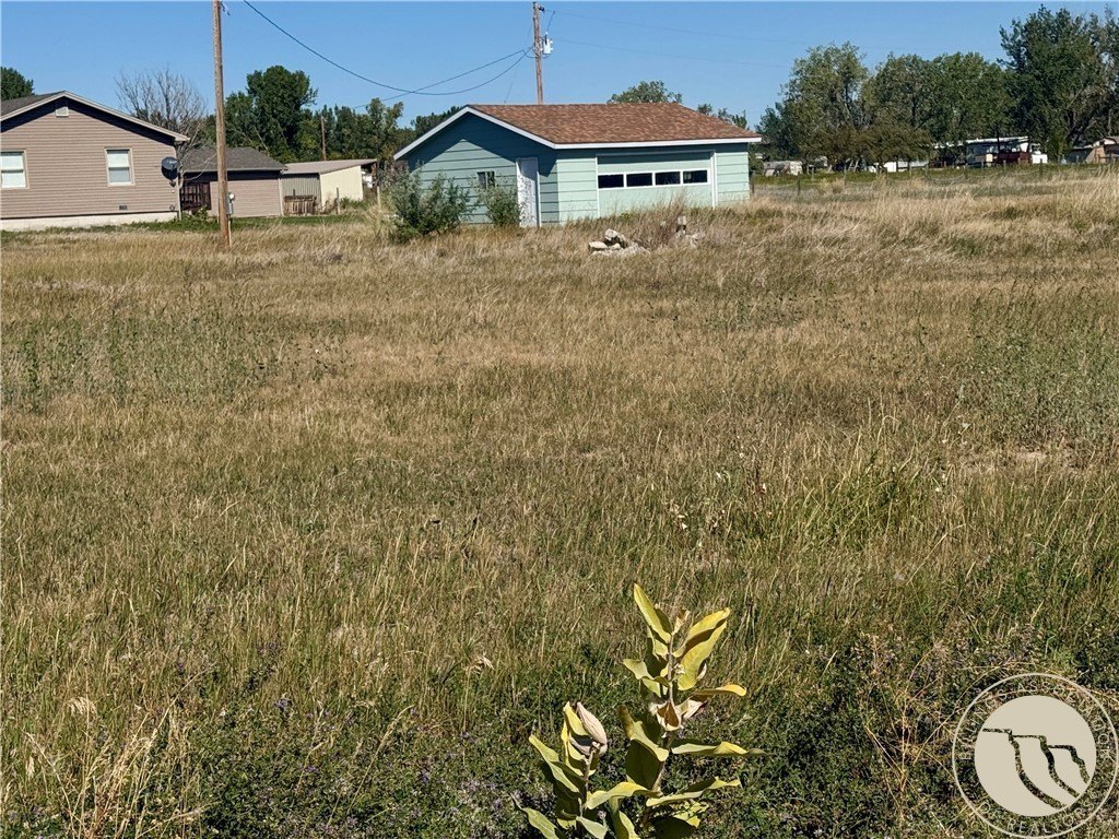 Picture 21