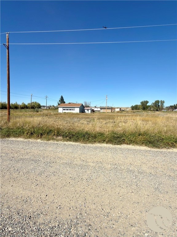 Picture 14
