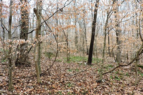Hillsborough Wooded Lot For Sale