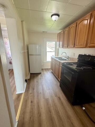 Picture 13