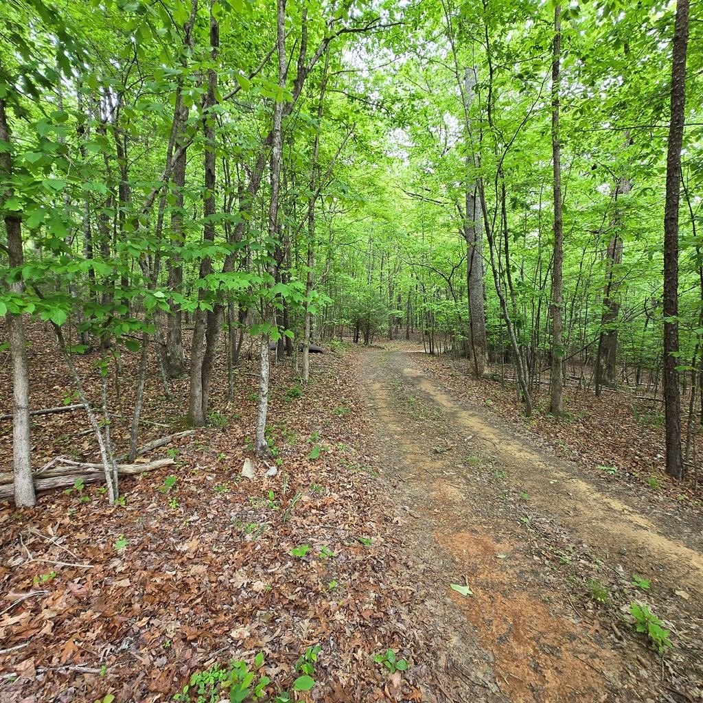 Morganton, GA Vacant 3.5-Acre Lot