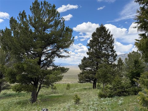 LAND - Cameron, MT