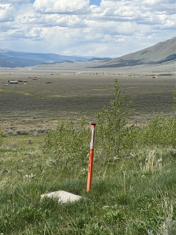 Picture 31