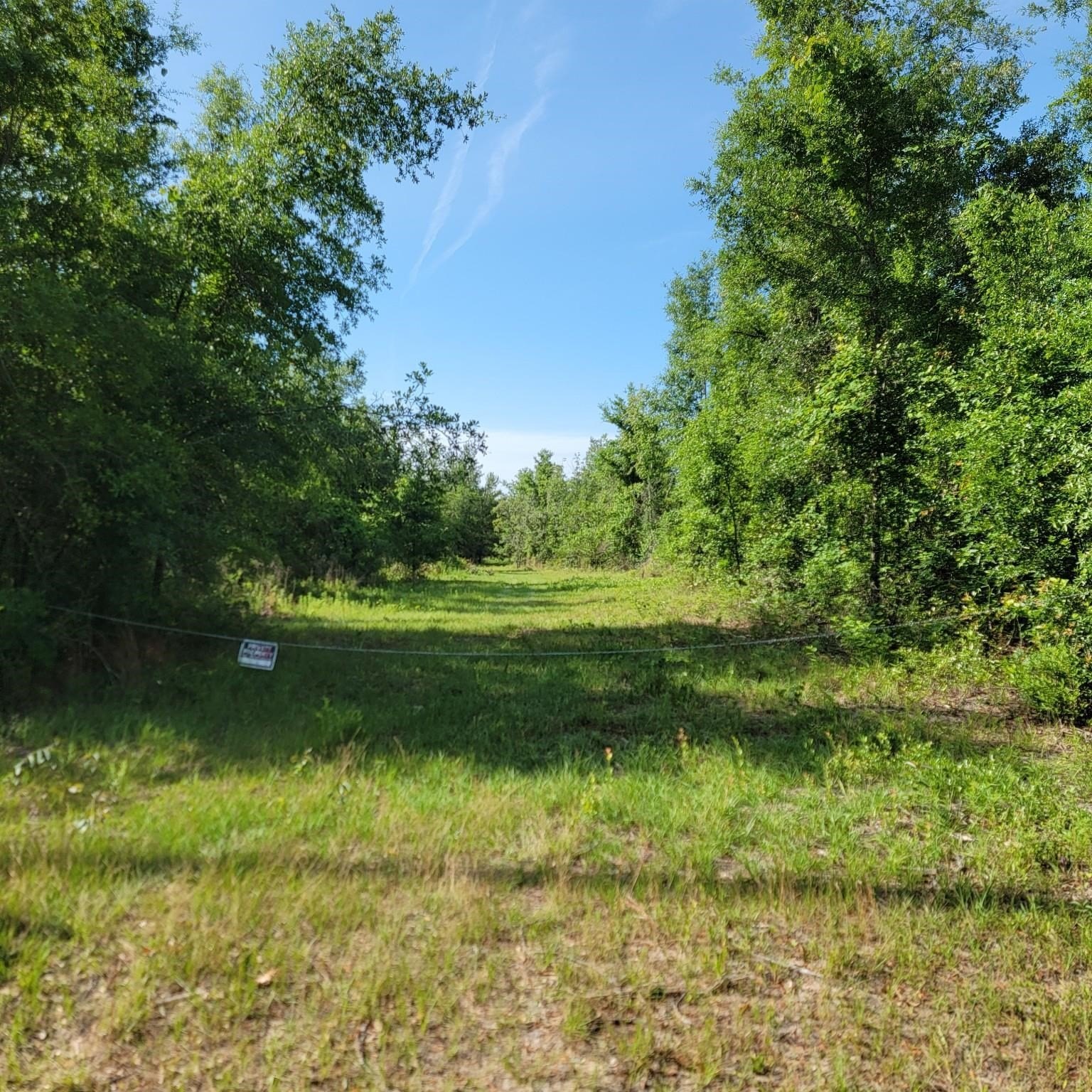 Land in North Florida Countryside