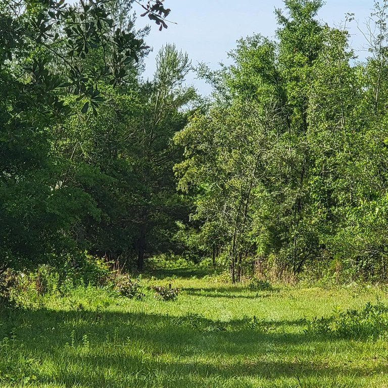 Picture 3