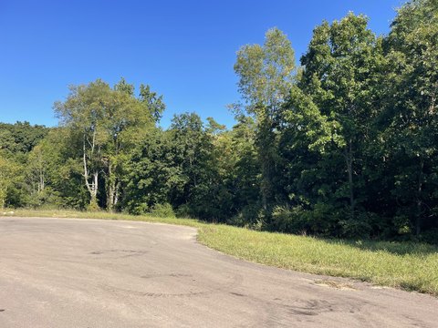 33.83 Acres Wooded Land Parcel