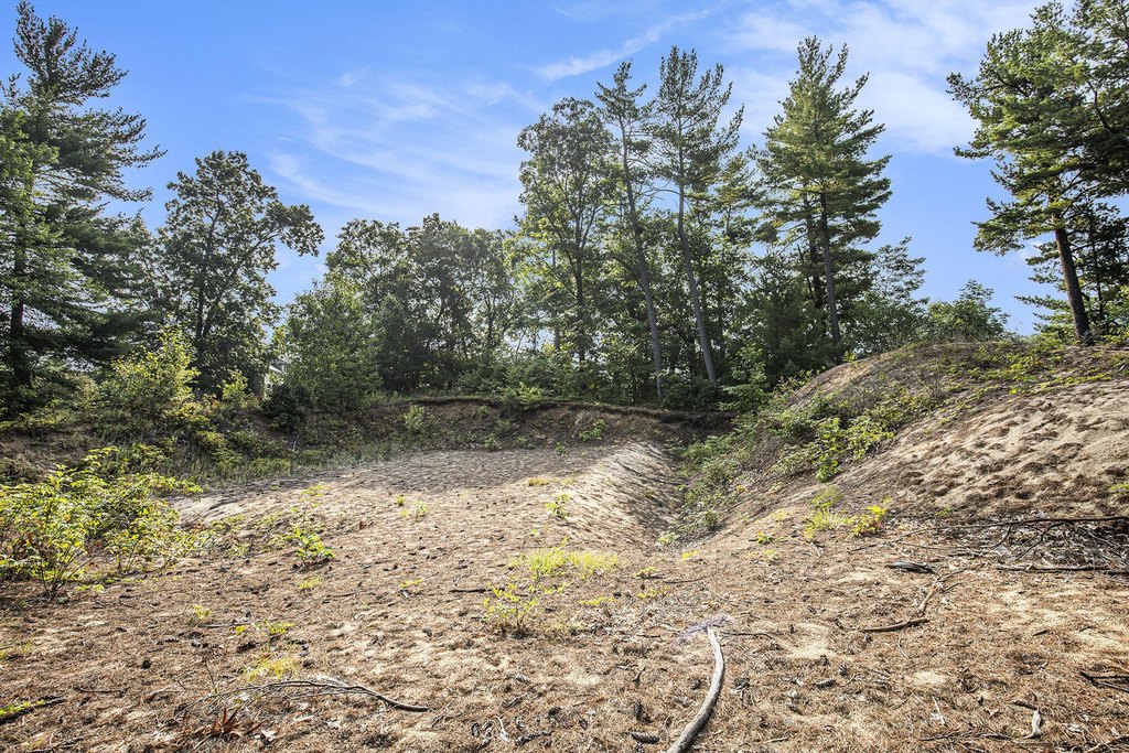 Picture 11