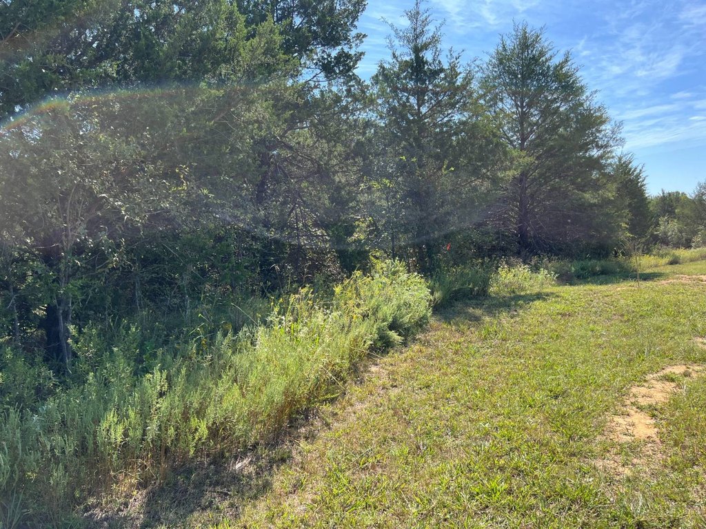 Picture 23