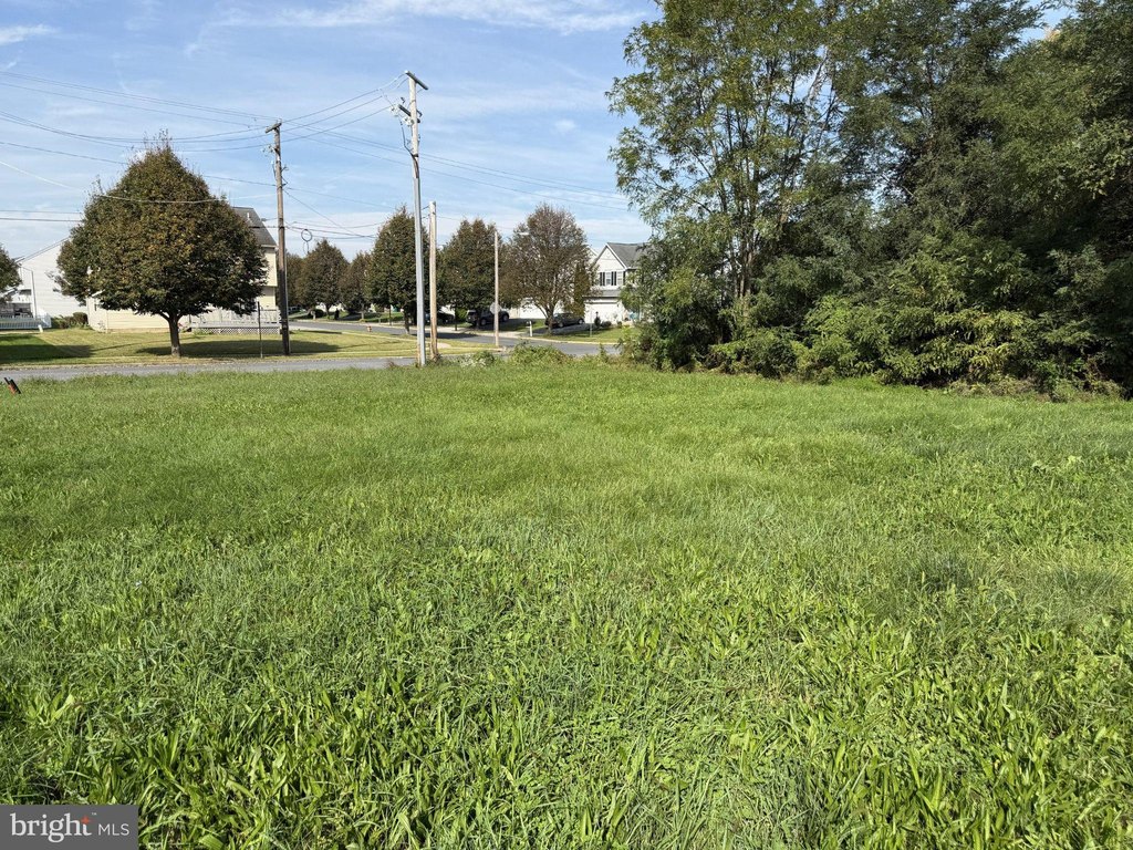 Picture 3