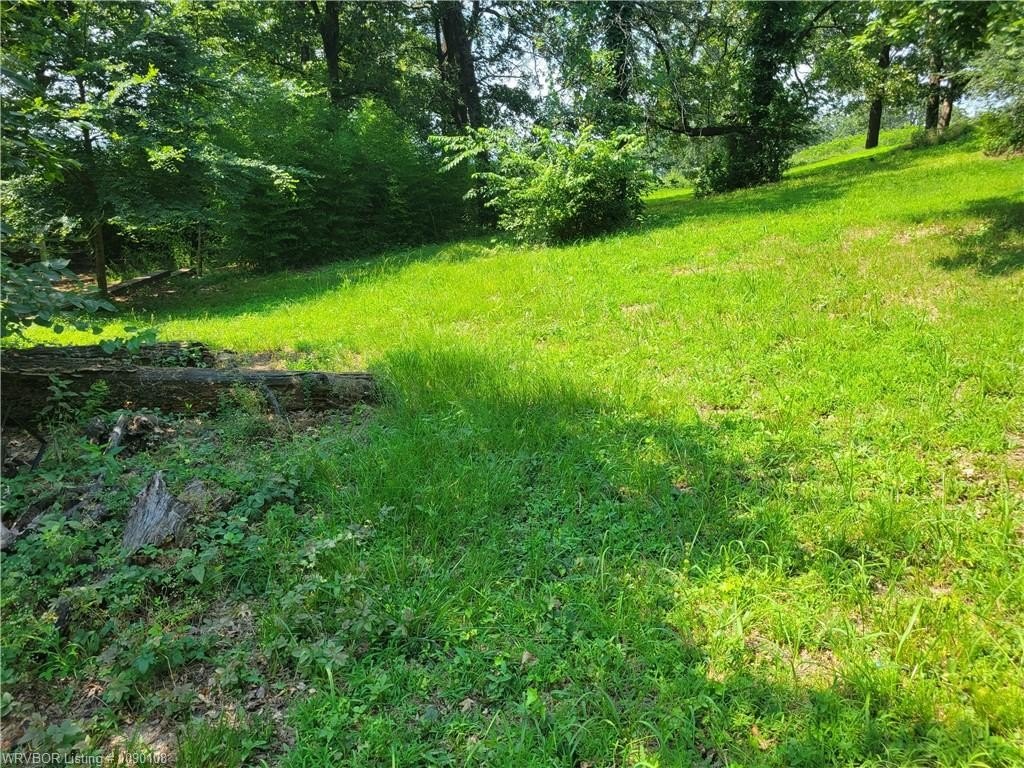 Picture 5