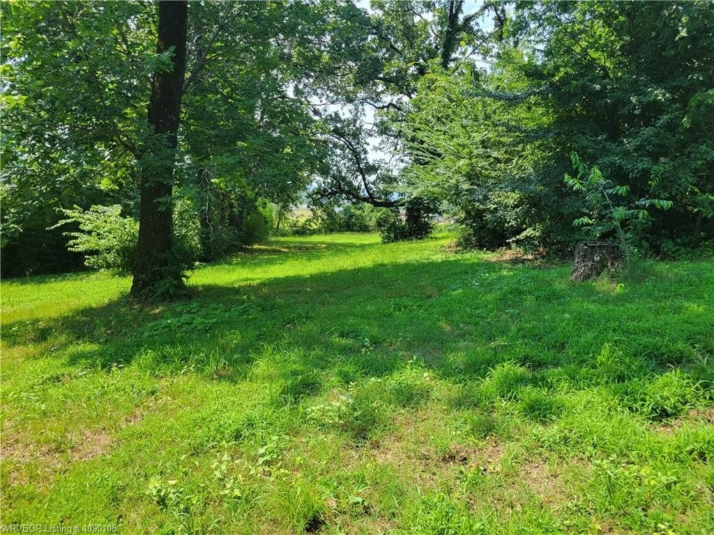 Picture 3