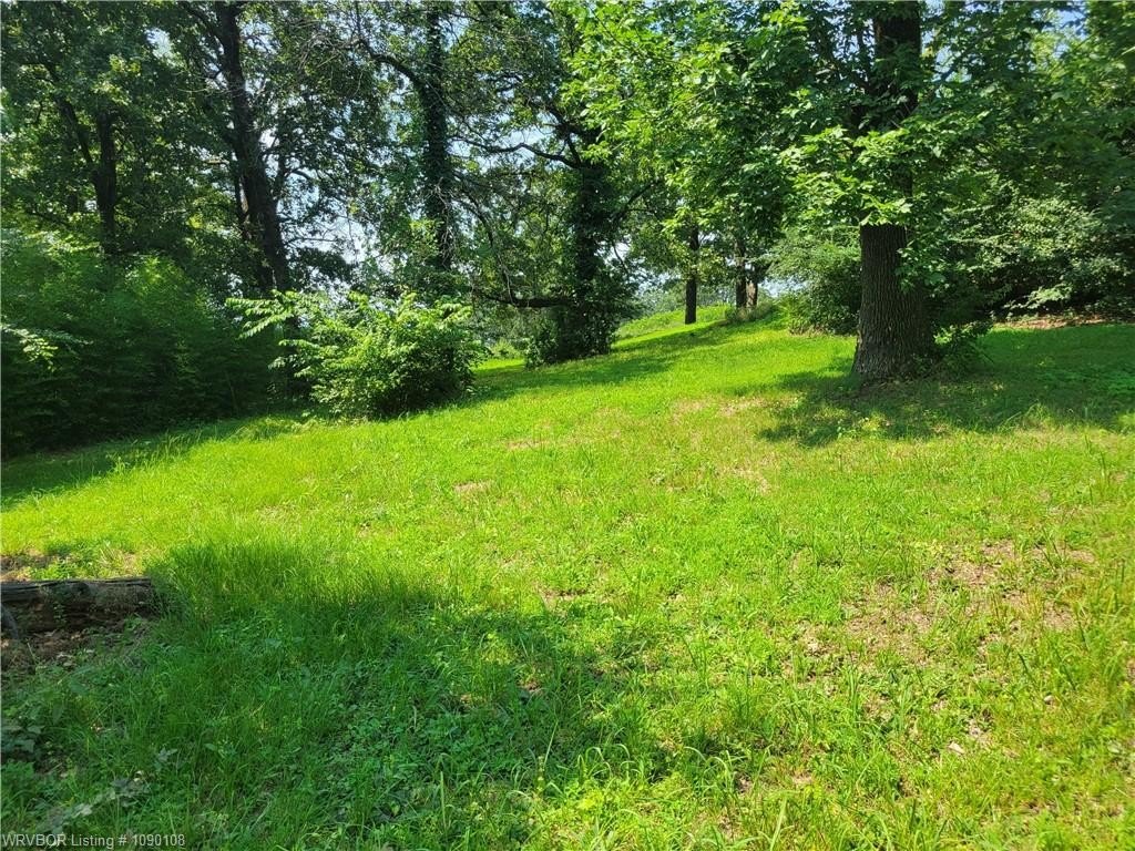 Picture 6