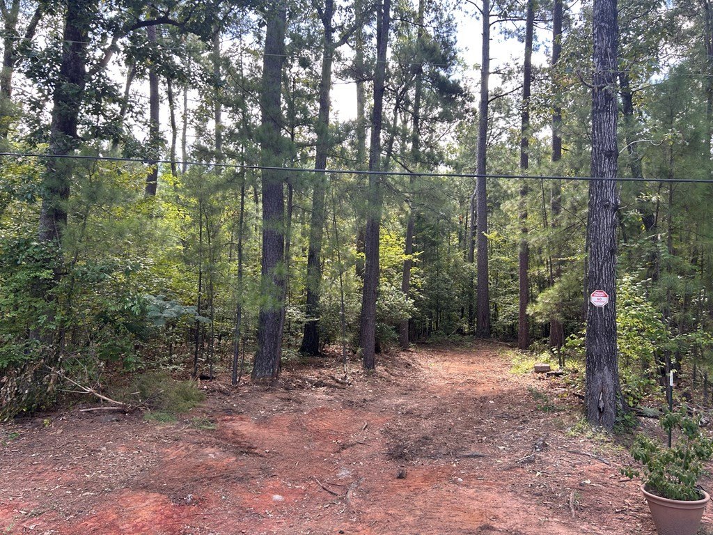 Picture 4