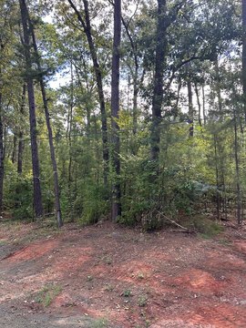Land, Bronson, TX
