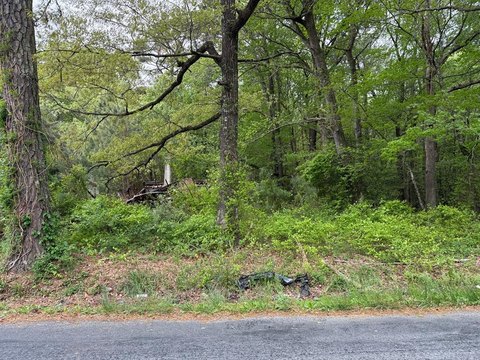 Oak Hall Wood Lot
