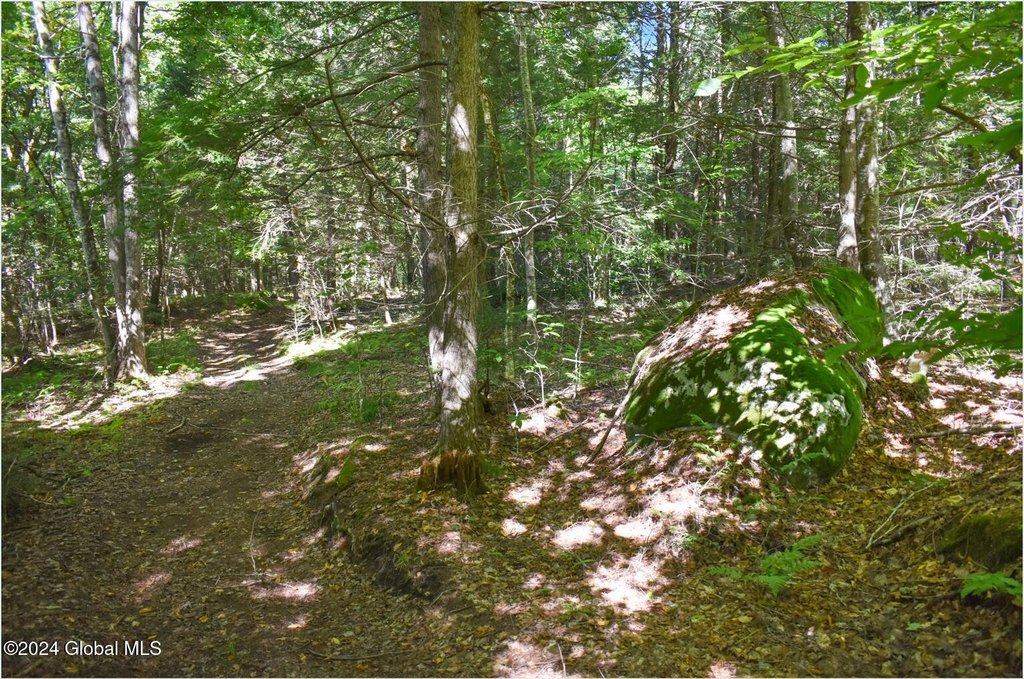 Picture 16