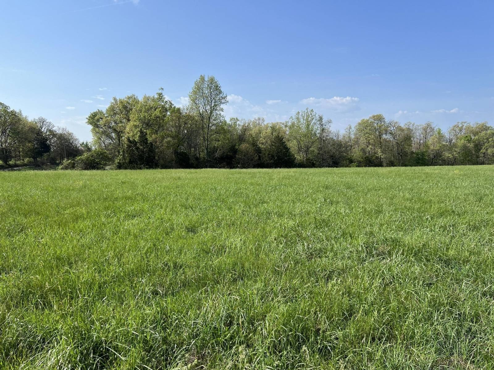 42 Acres of Pasture Land