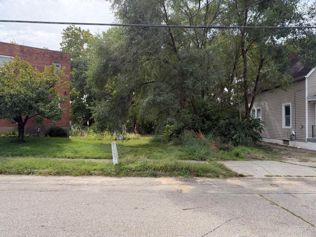 Picture 5