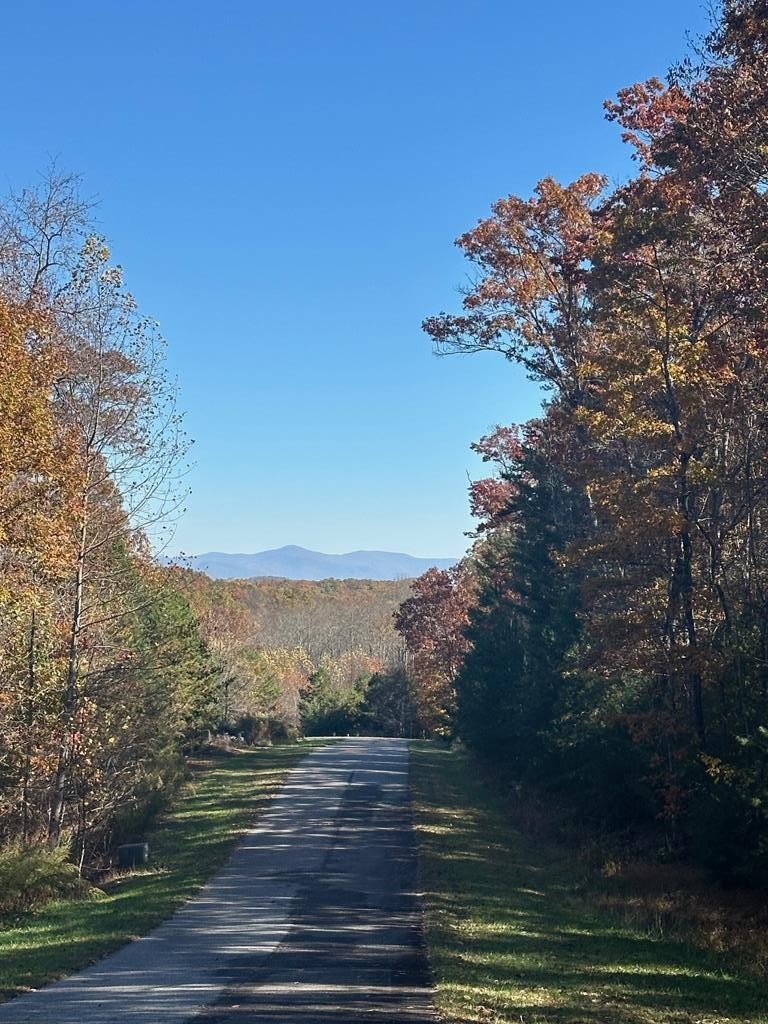 Blairsville Vacant Lot in Gated Community