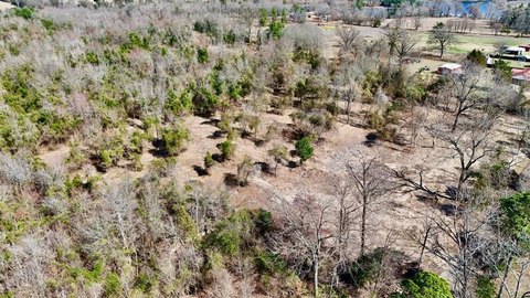 Land for Development or Agriculture