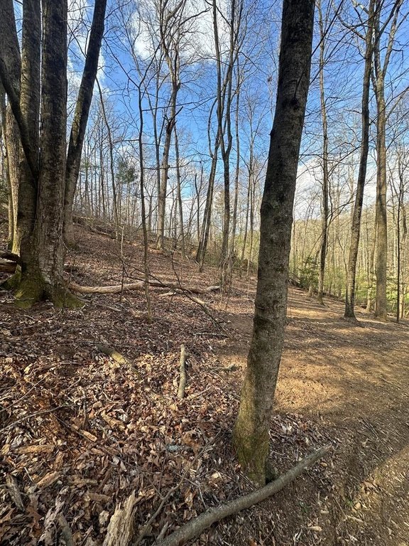Picture 16
