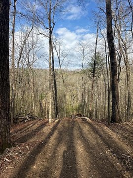 Vacant Lot, Blue Ridge, GA