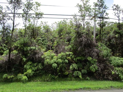 Wooded Residential Lot