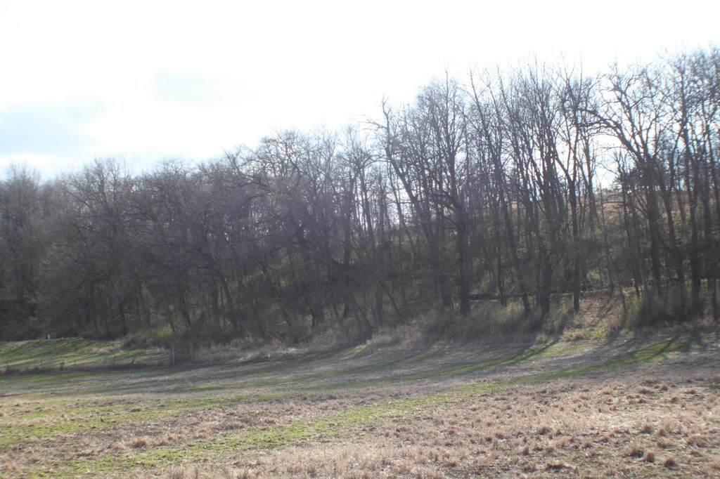 Picture 6