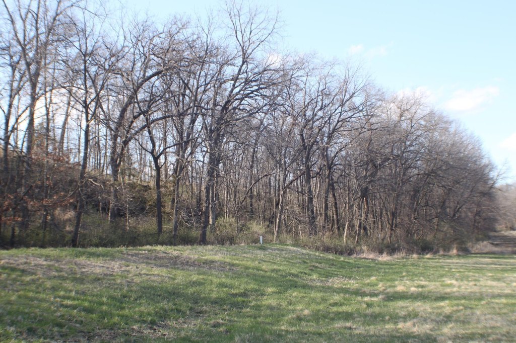 Picture 2