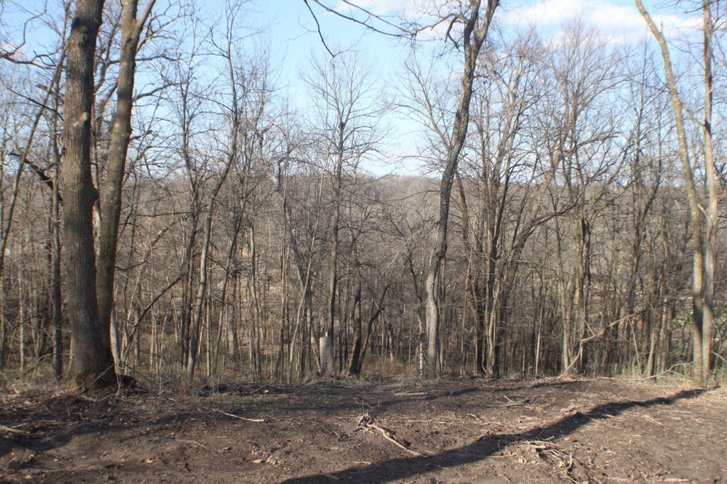 Picture 9