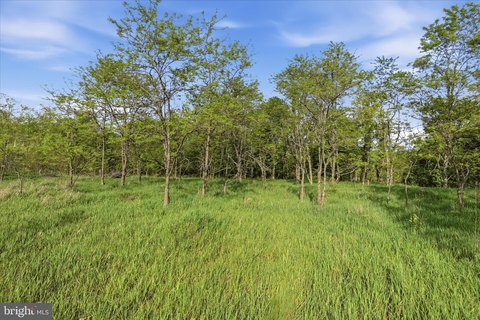 Unimproved Land in Lost Mountain