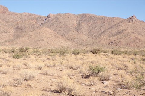 Kingman, AZ Land For Sale