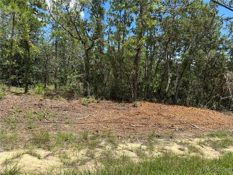 Land, Citrus Springs, FL