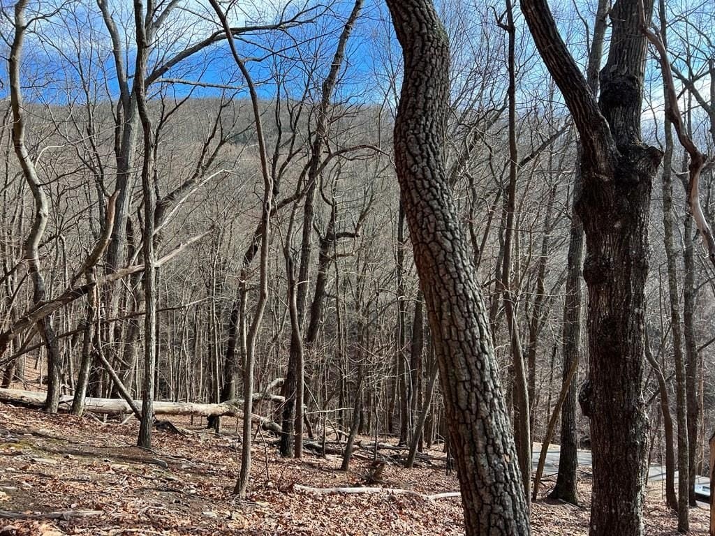 Mountain View Lot in Jasper