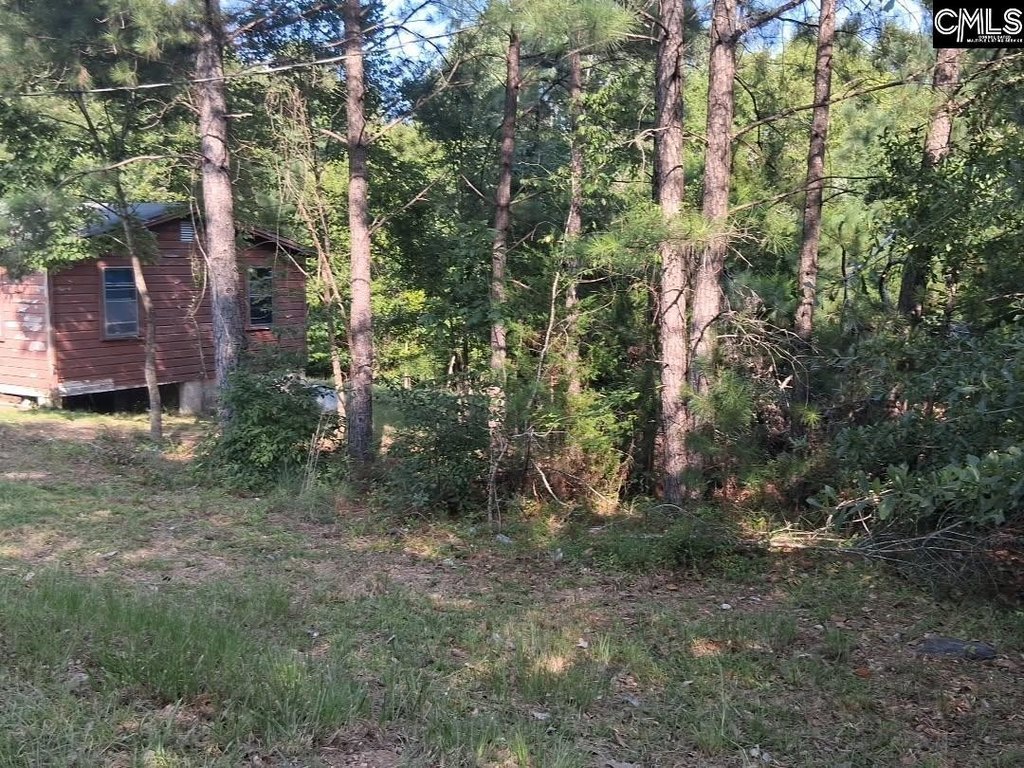Picture 2