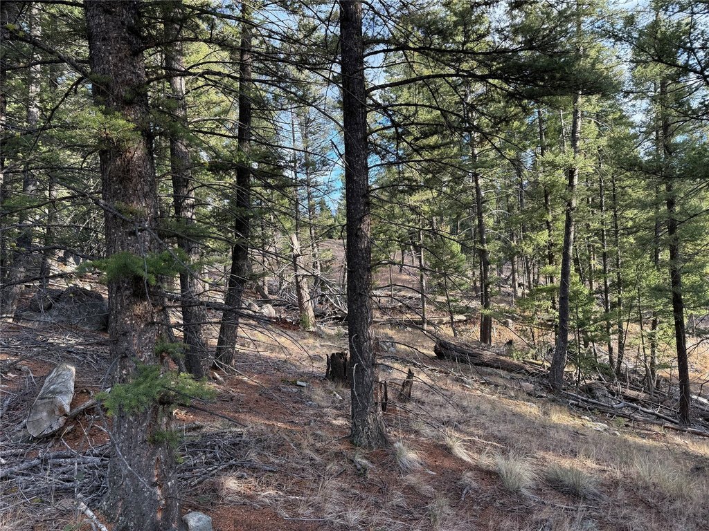 Picture 31