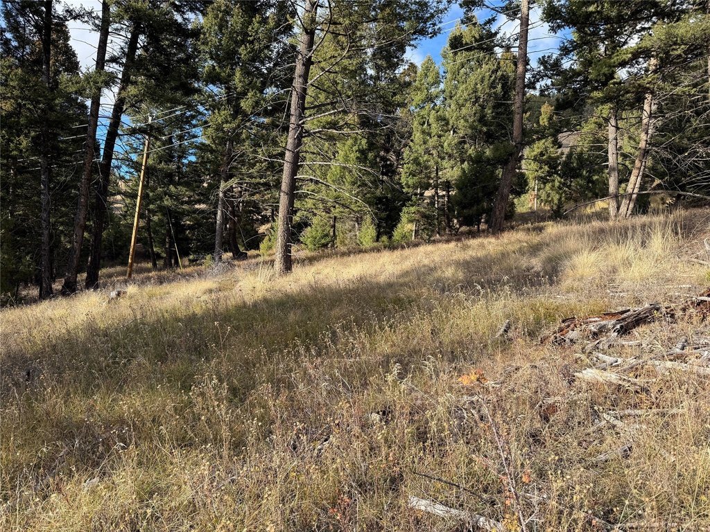 Picture 28