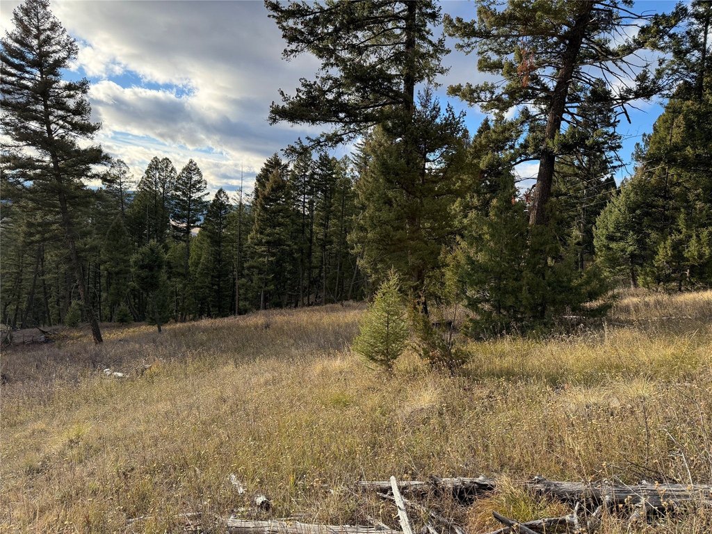 Picture 29