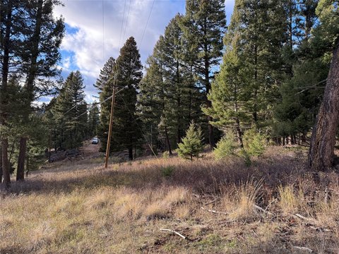 Acreage with Mountain Views