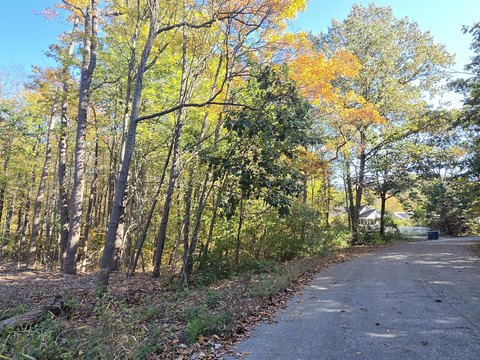 Land, Fennville, MI