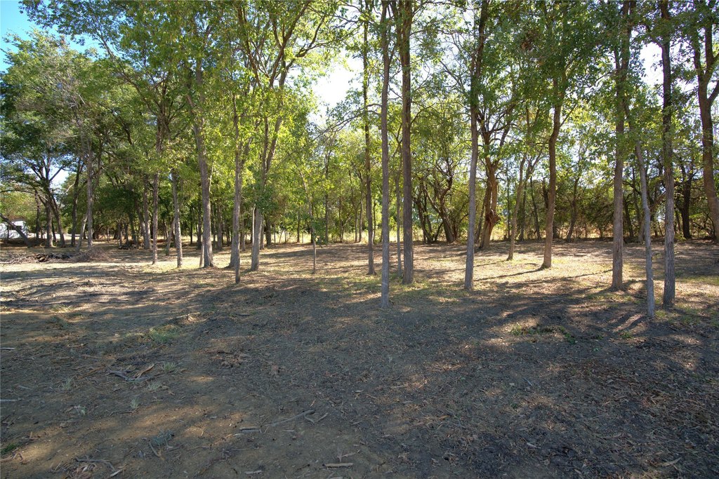 Picture 10