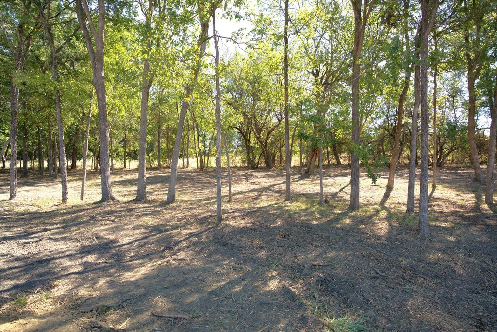 Picture 8