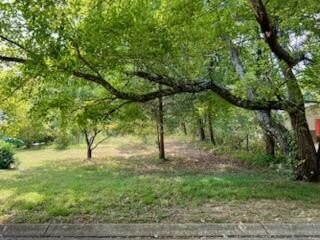 Land, Signal Mountain, TN