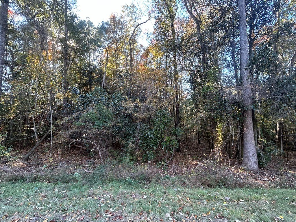 Picture 47