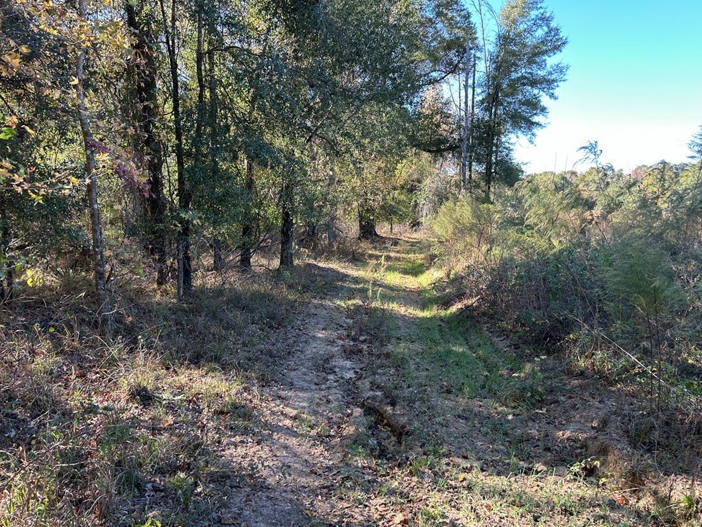 Picture 24