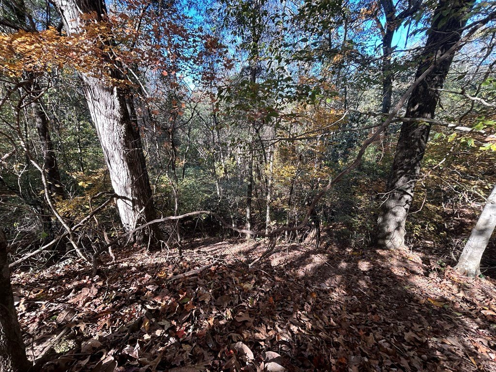 Picture 22