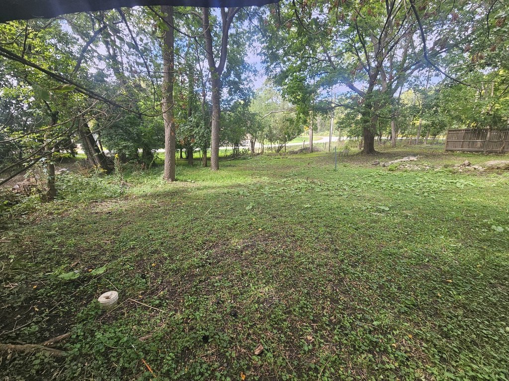 Picture 13