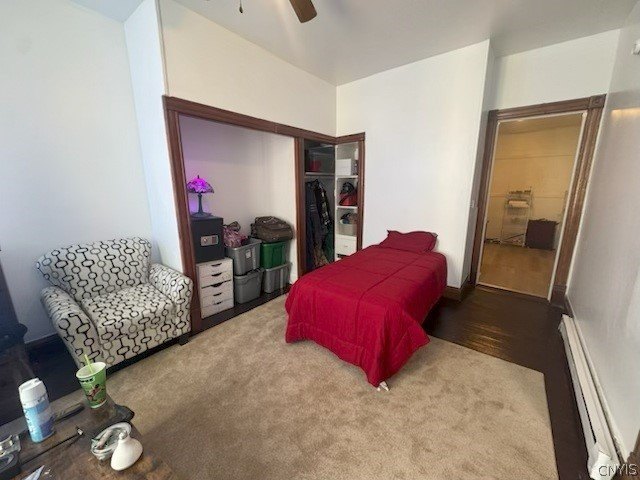 Picture 16