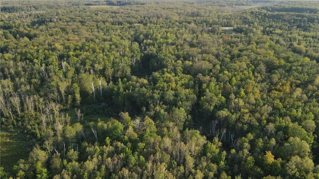38 Acres Wooded Recreational Land